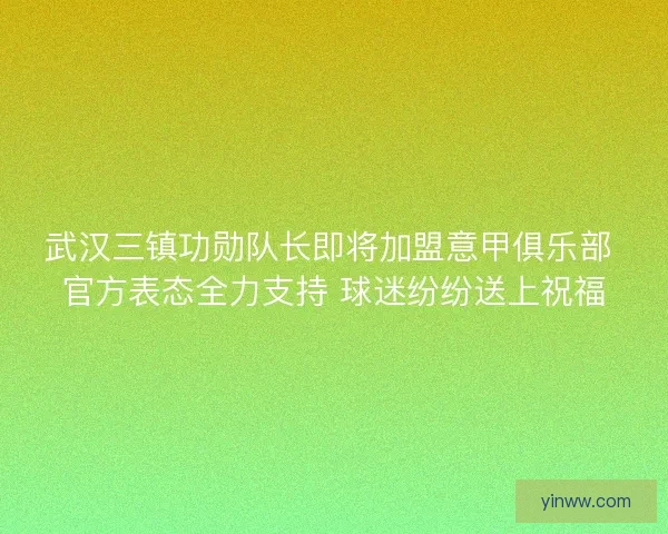 武汉三镇功勋队长即将加盟意甲俱乐部 官方表态全力支持 球迷纷纷送上祝福