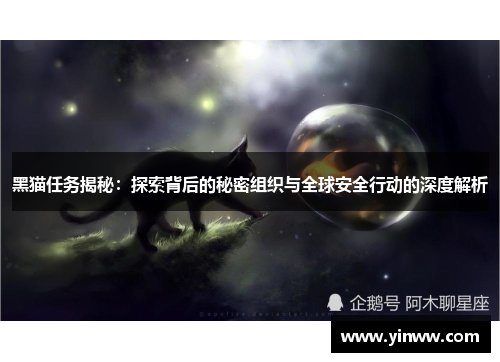 黑猫任务揭秘：探索背后的秘密组织与全球安全行动的深度解析