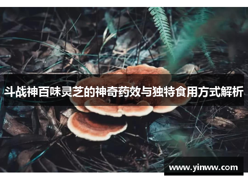 斗战神百味灵芝的神奇药效与独特食用方式解析