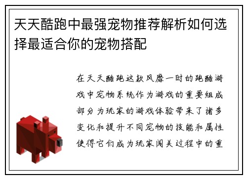 天天酷跑中最强宠物推荐解析如何选择最适合你的宠物搭配