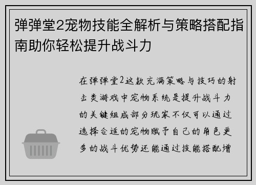 弹弹堂2宠物技能全解析与策略搭配指南助你轻松提升战斗力
