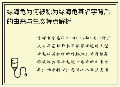 绿海龟为何被称为绿海龟其名字背后的由来与生态特点解析